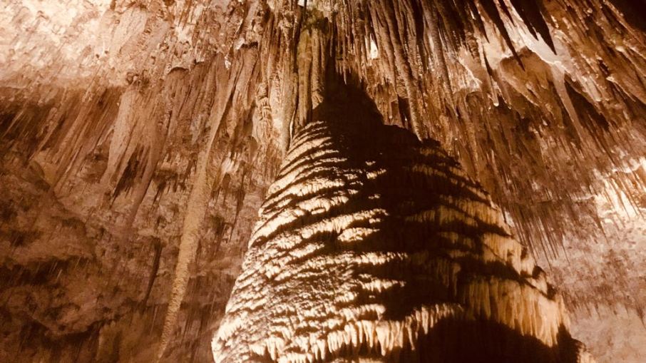 2018-01-08-PHOTO-00000316 2