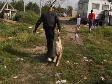 7330948-kF0G-U460205299375344FG-590x445@CorriereMezzogiorno-Web-Mezzogiorno